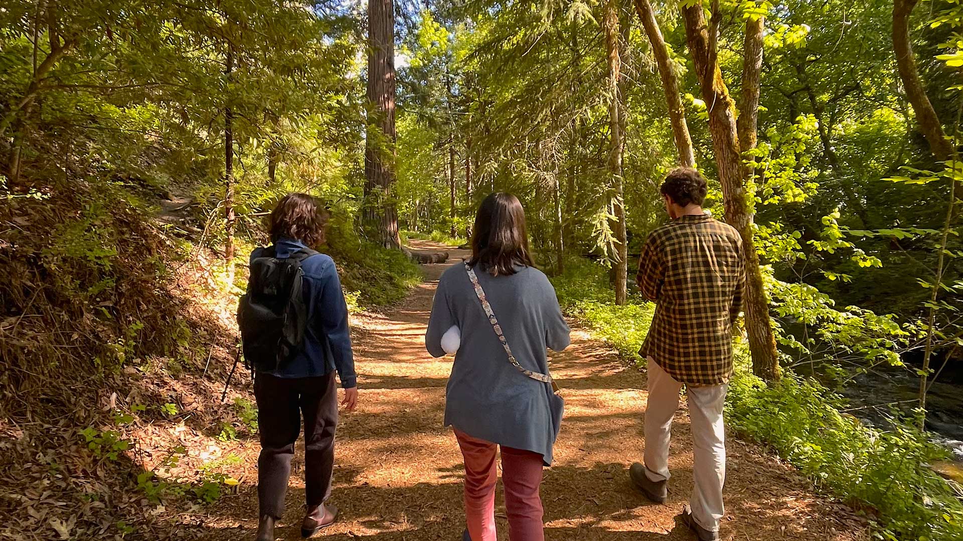 Navigating the First Weeks on Campus A Guide to Early Student Success walking in the park at Southern Oregon University