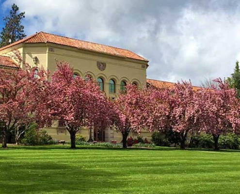 UCAM parent testimonial anonymous parents of a graduate Learn More